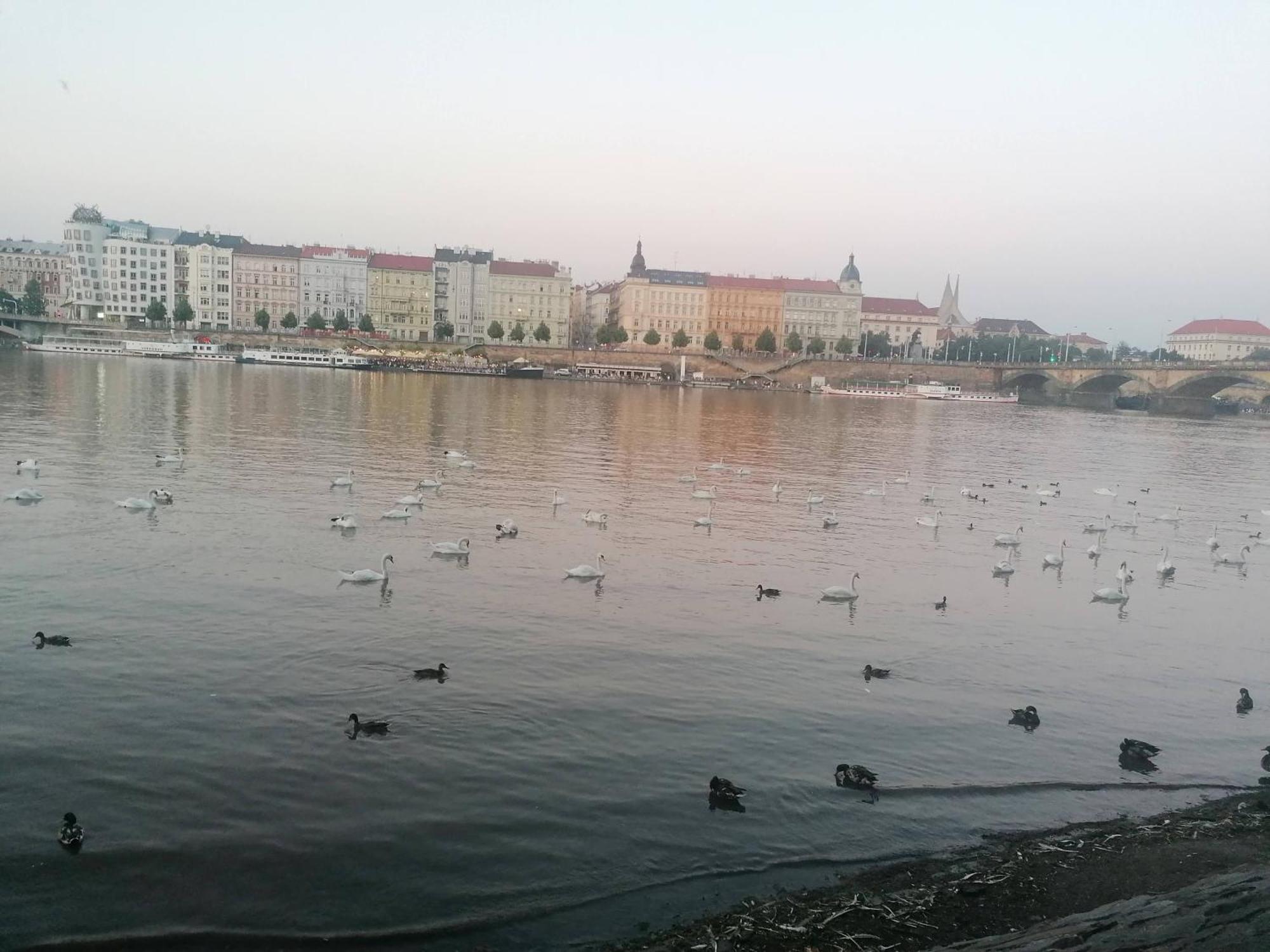 Valentinka Minutes Away From Charles Bridge Apartment Prague Luaran gambar