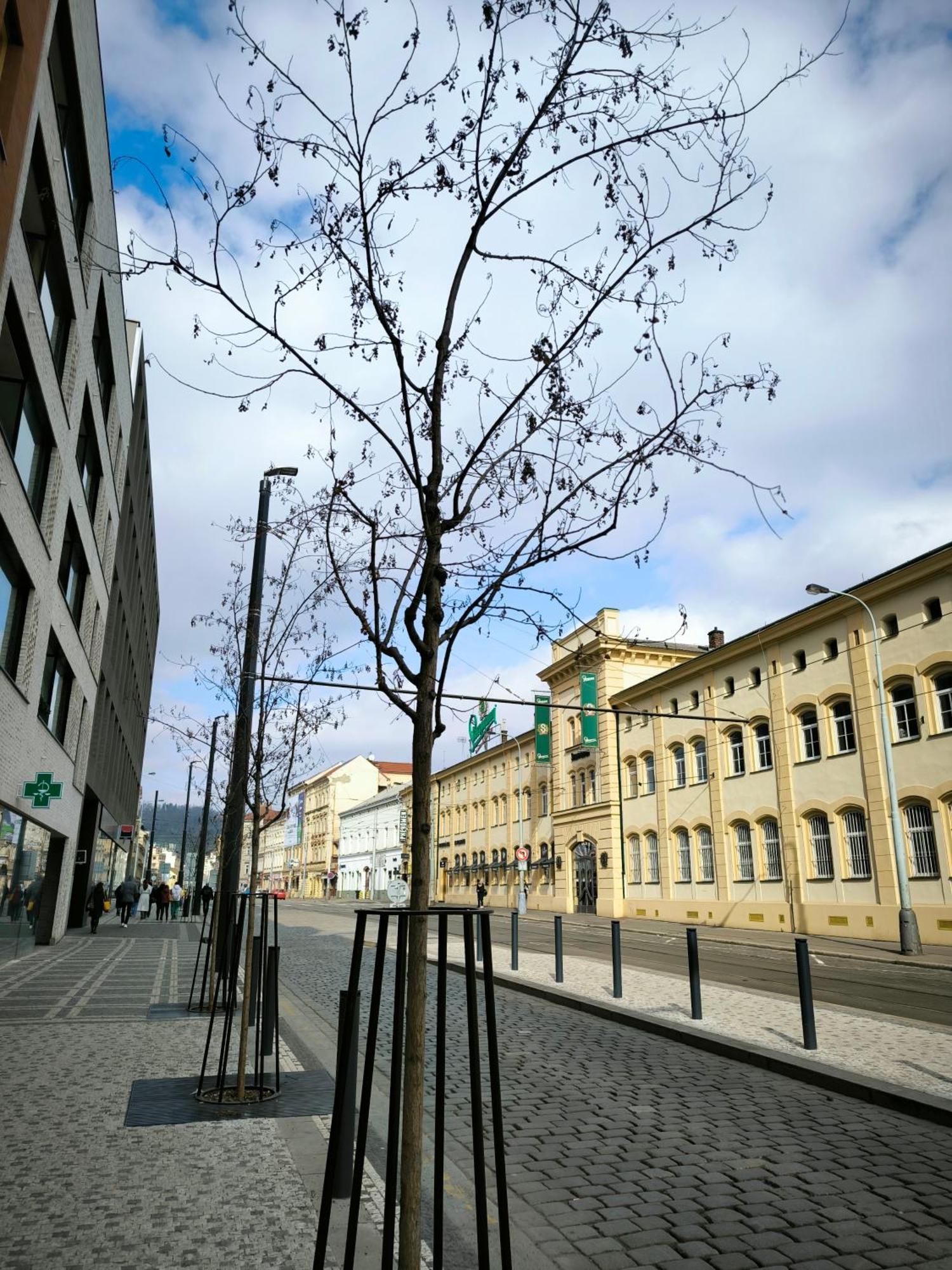 Valentinka Minutes Away From Charles Bridge Apartment Prague Luaran gambar